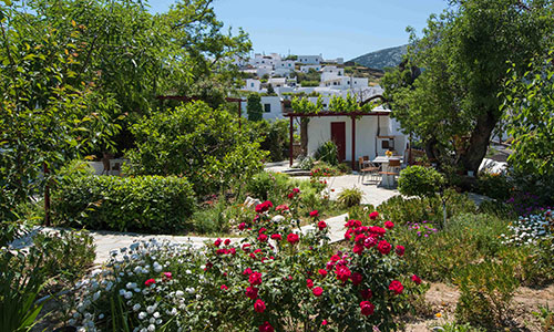 The garden of Kipos accommodation in Sifnos